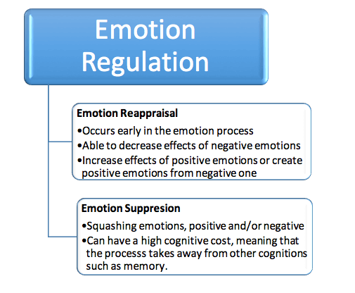 Mental Strategy: Emotion Regulation